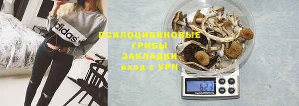 эйфоретик Баксан