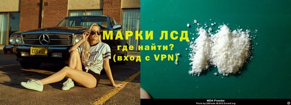 эйфоретик Баксан
