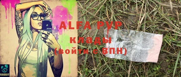 амф Балахна
