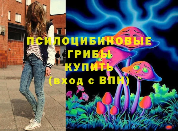 амф Балахна