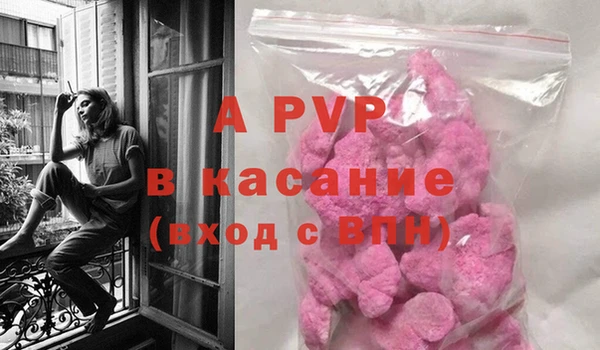 эйфоретик Баксан