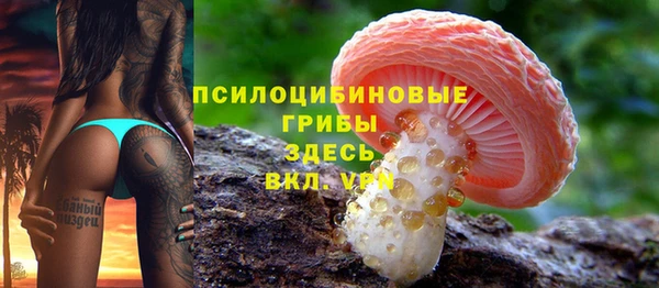 мет Дмитров